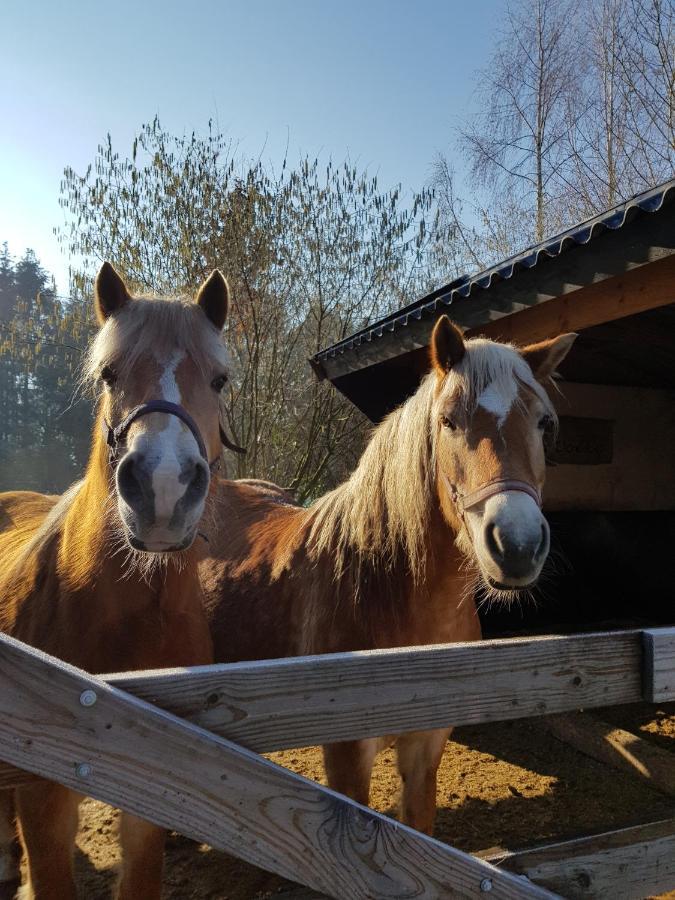 Frühstückspension Bij Saar Zwinderen